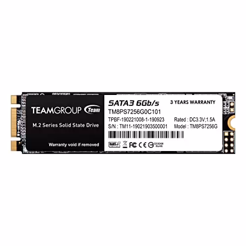 TEAMGROUP MS30 256GB SSD M.2-2280 SATA