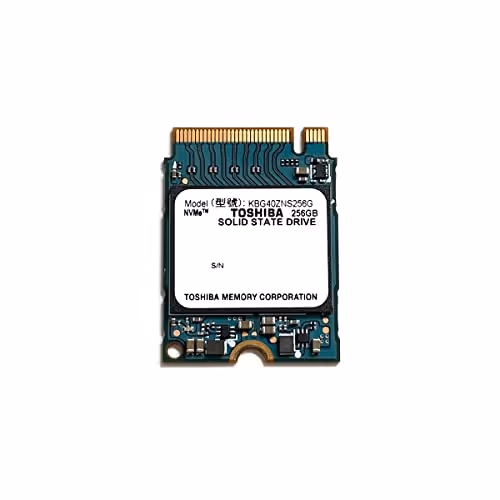 KIOXIA BG4 256GB SSD M.2-2230 PCIe 3.0 x4 NVMe