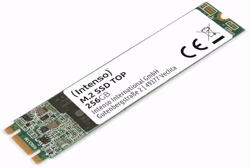 Intenso Top 256GB SSD M.2-2280 SATA