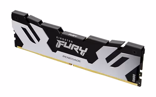 Kingston FURY Renegade Silver / Black DDR5-6400 CL32 16GB (1x16GB)